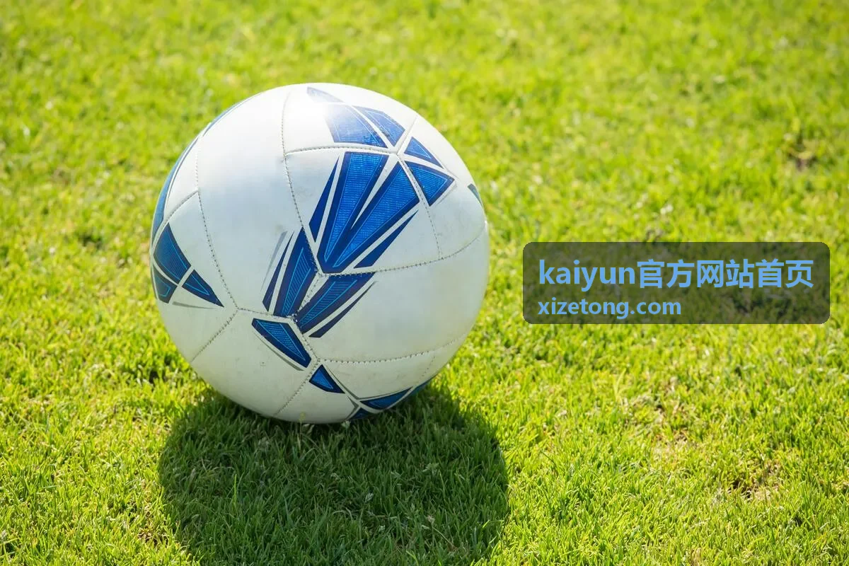 kaiyun官方网站首页 异常提醒识别与处理示意图