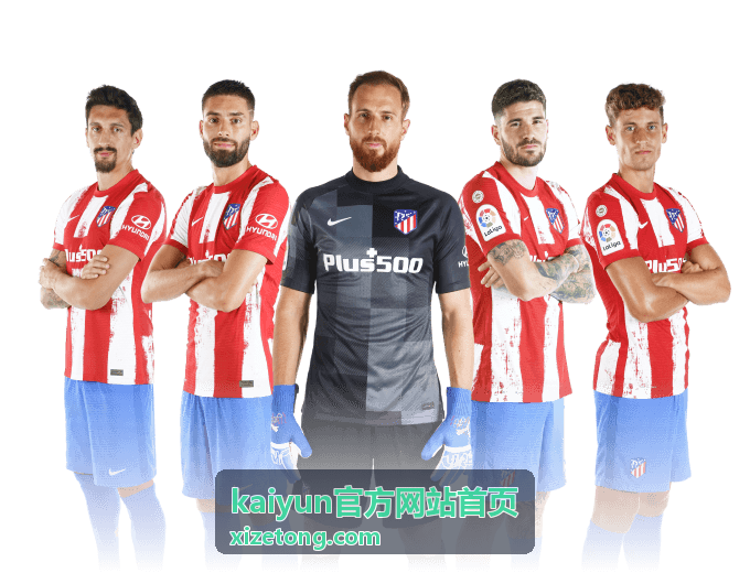 kaiyun官方网站首页 设备与登录记录核验示意图