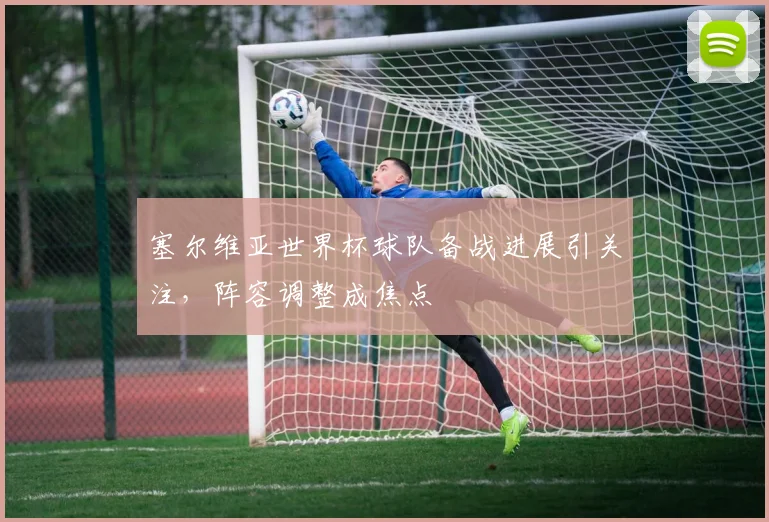 塞尔维亚世界杯球队备战进展引关注,阵容调整成焦点