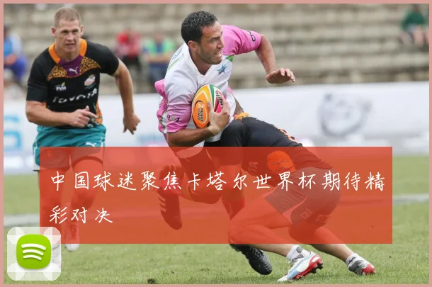 中国球迷聚焦卡塔尔世界杯期待精彩对决