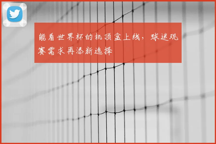 能看世界杯的机顶盒上线,球迷观赛需求再添新选择